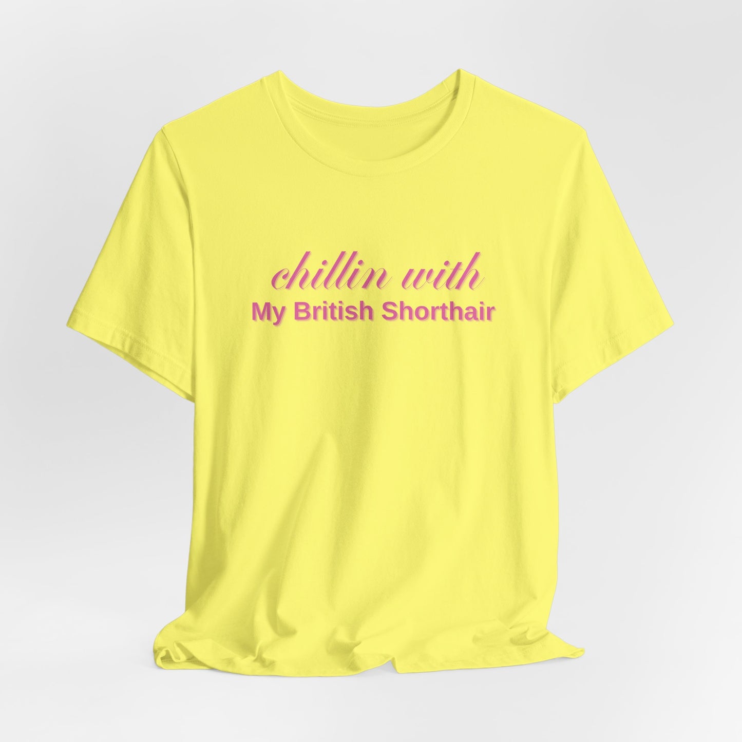 Chillin With My British Shorthair Women T-Shirt