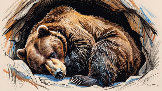 Hibernation Uncovered: How Bears Survive the Harsh Winter